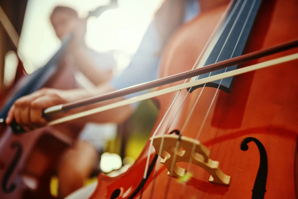 Double Bass
