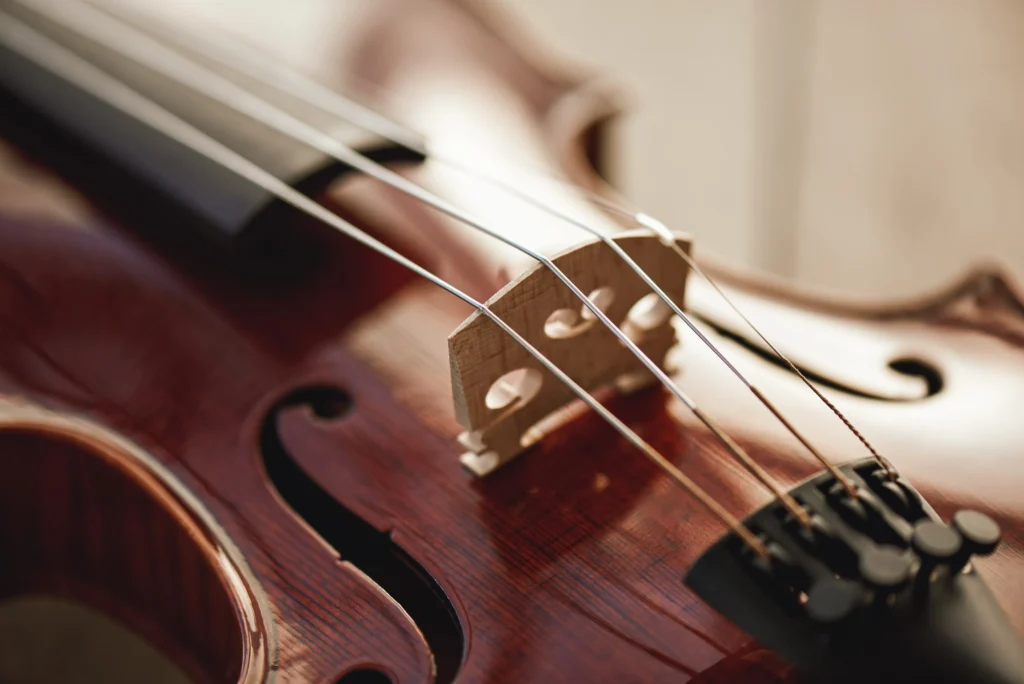 Viola
